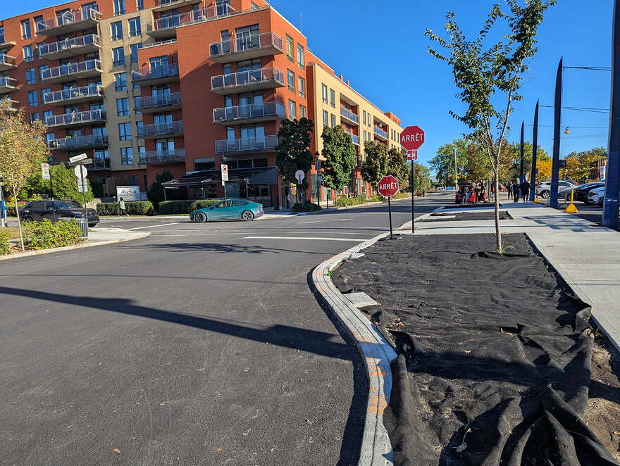 PXL_20250930_200652776.MP