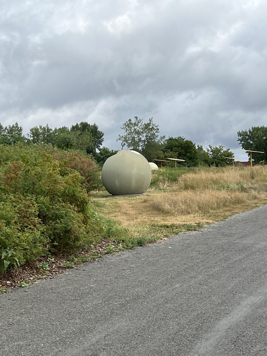 IMG_D92A57BB-D56F-4CF6-B7F8-B308B9BCED2B