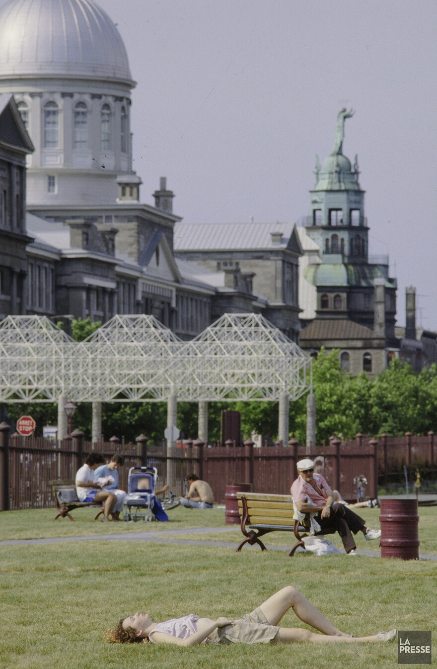 06M_P833S5D1988-0260_013