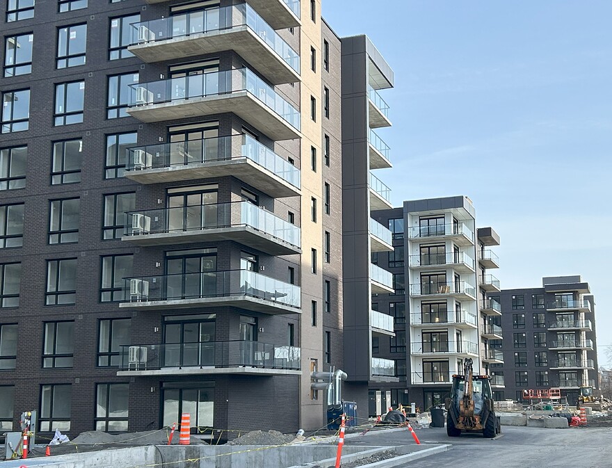 Delmar5