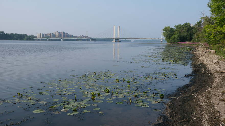 DSCF1917