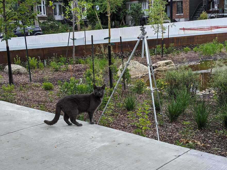 AGC_20250701_131953840