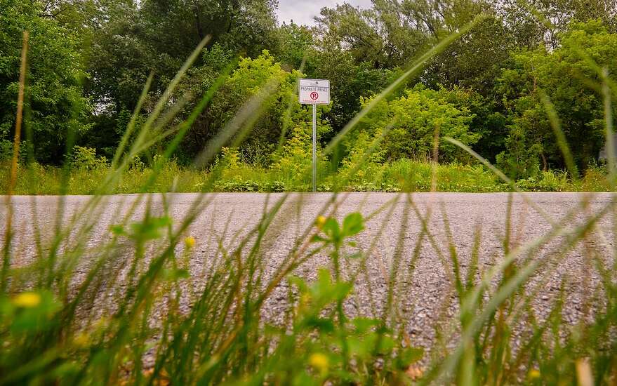 La Ville de Québec a récemment installé des panneaux indiquant l'interdiction de stationner sur ses terrains.