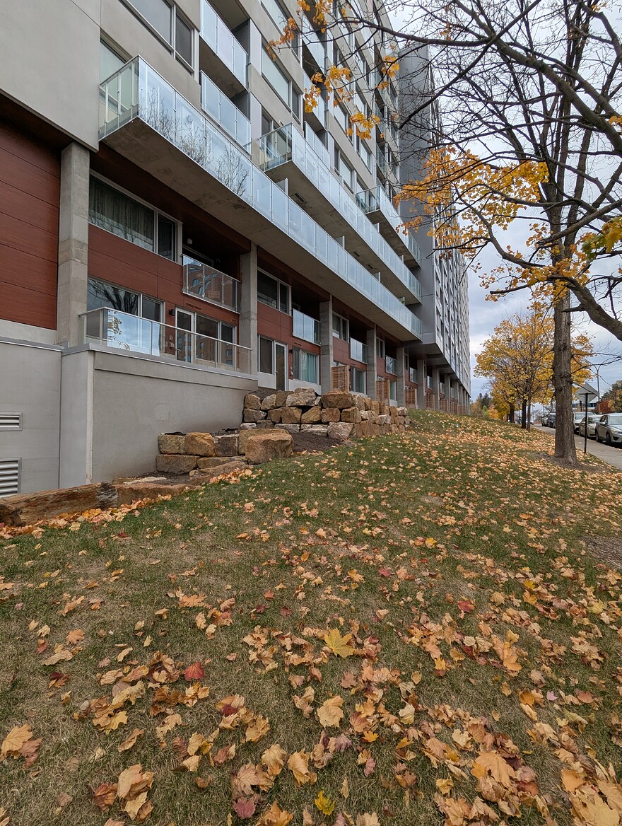 PXL_20251103_162323347