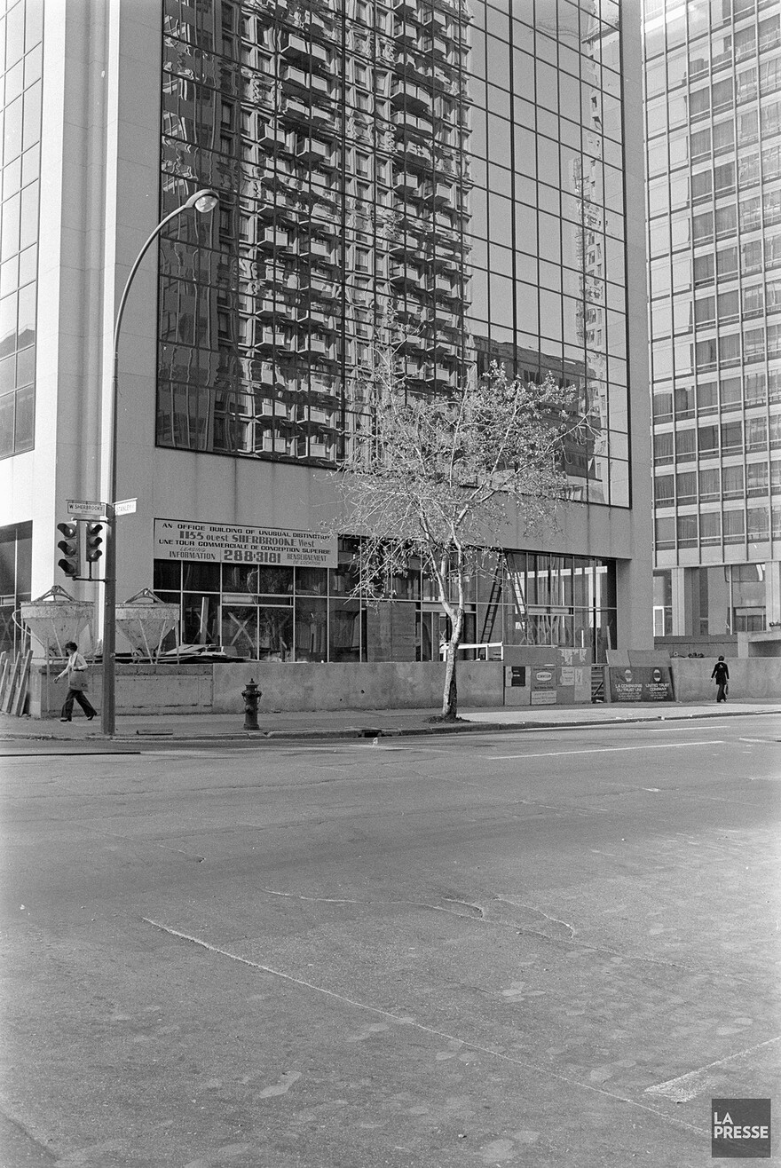 06M_P833S5D1975-0386_0021