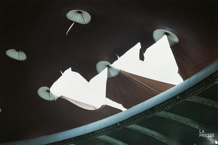 06M_P833S5D1991-0239_003