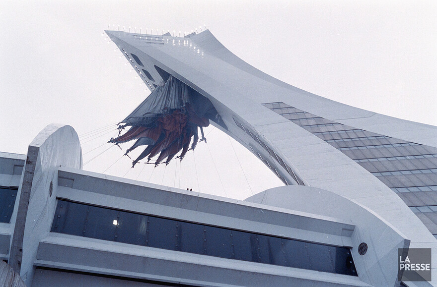 06M_P833S5D1989-0250_015