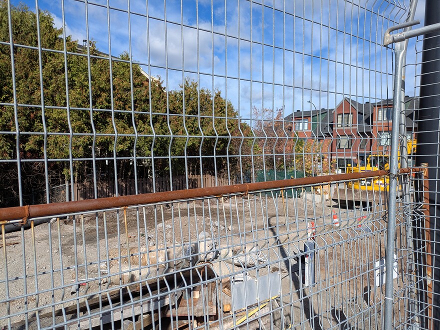 PXL_20251015_155204968