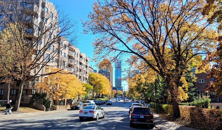 20251029_115559-EDIT