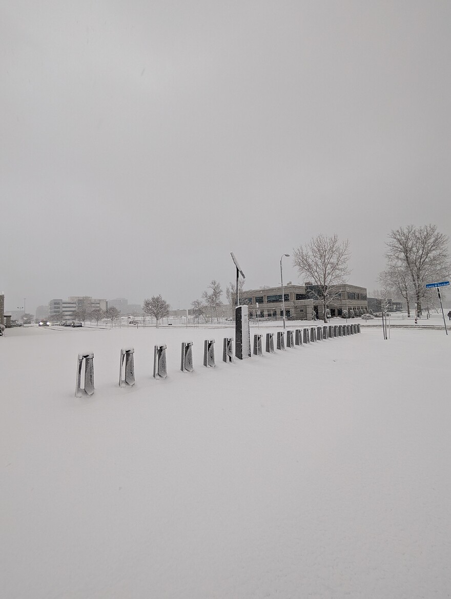 PXL_20250408_104651578.MP