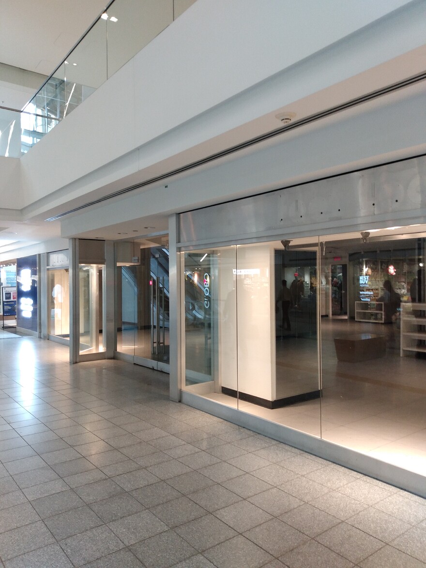 IMG_20250315_154302034