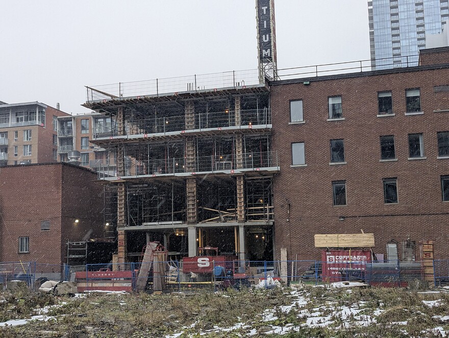 PXL_20251123_184157241