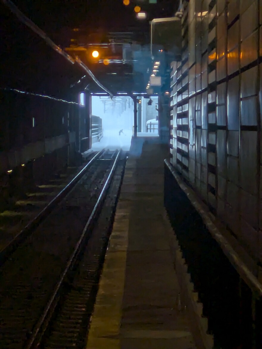 PXL_20250213_181910757