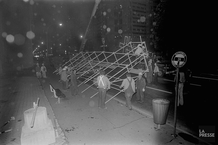 06M_P833S5D1976-0282_001