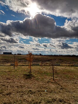 IMG_20241027_140814126_HDR