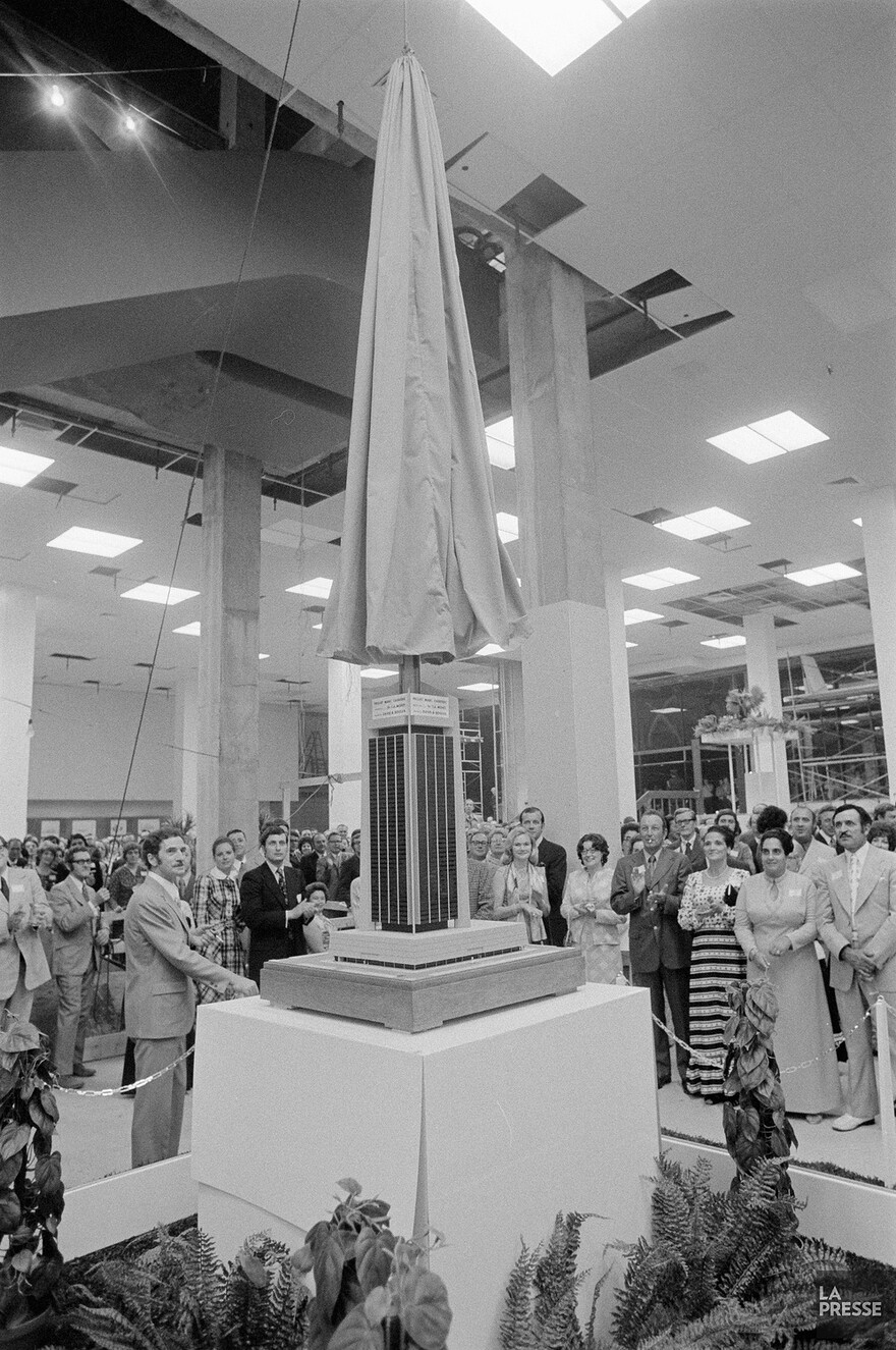 06M_P833S5D1972-0310_0004