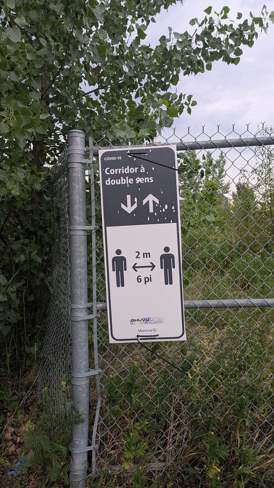 PXL_20250706_234704119.MP