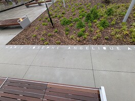 PXL_20250523_231440812