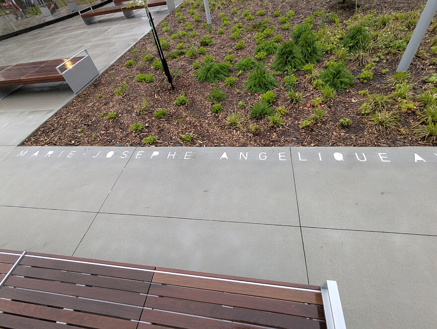 PXL_20250523_231440812