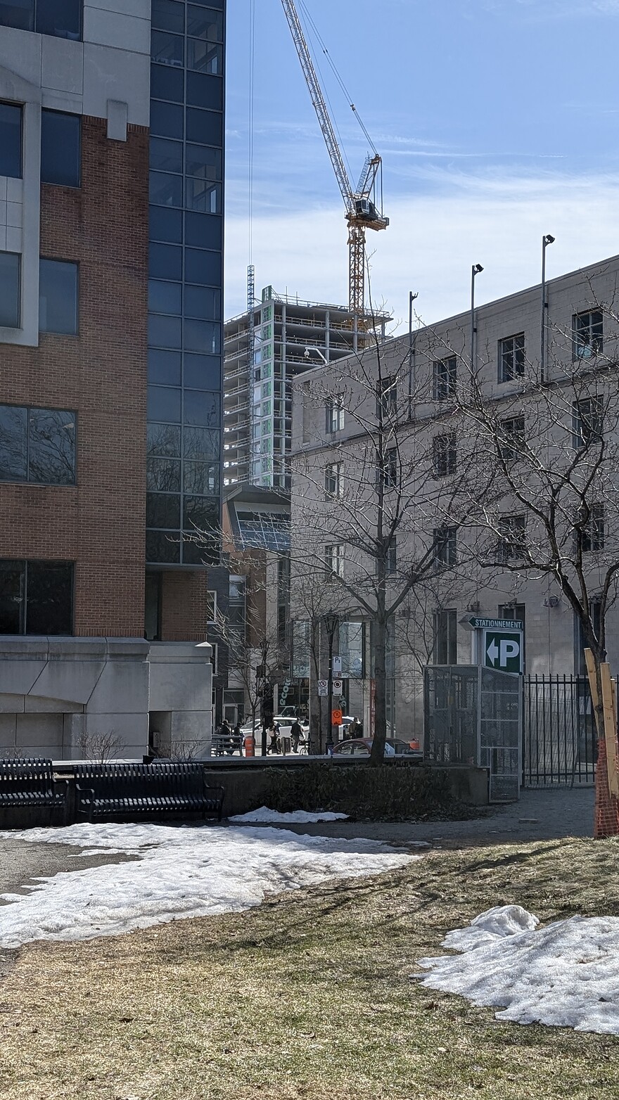 PXL_20250319_174610332