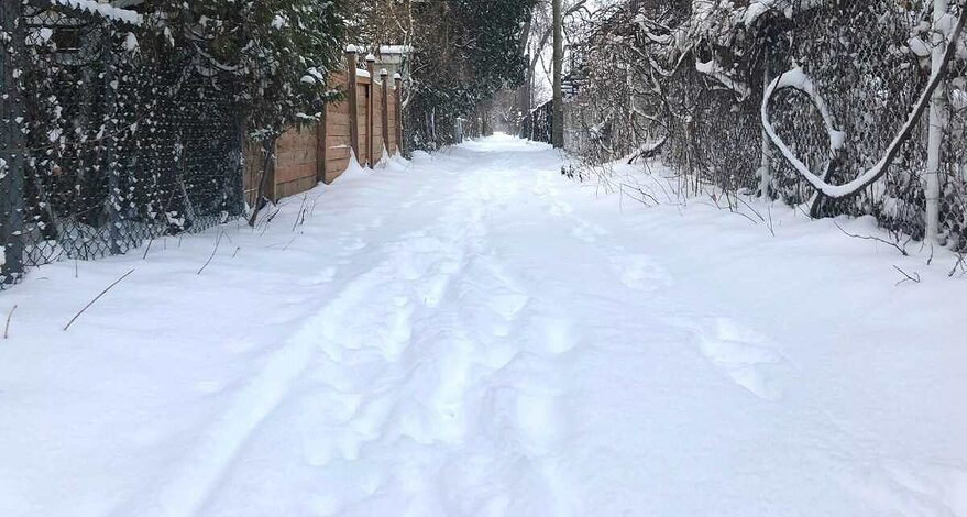Ruelle sous la neige à LaSalle