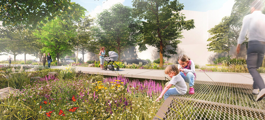Les jardins: axe piétonnier en retrait de la rue du Séminaire, bordé d’espaces de biorétention.