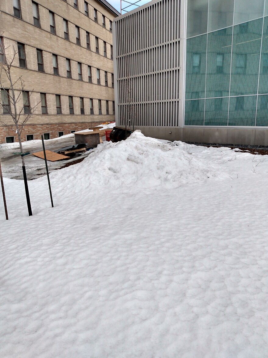 IMG_20250306_131526424_HDR