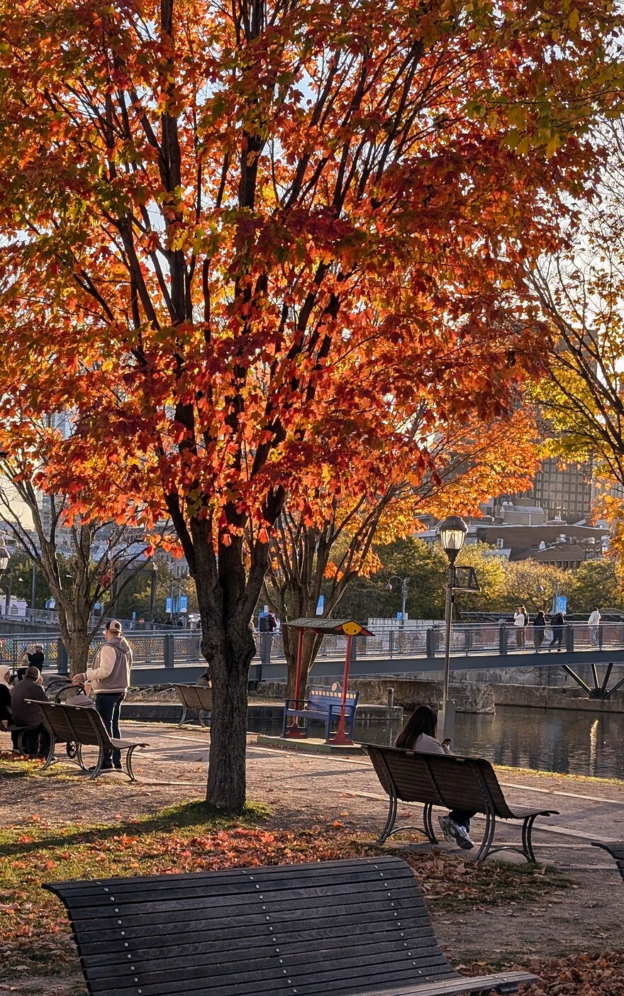 PXL_20251017_211241637~2