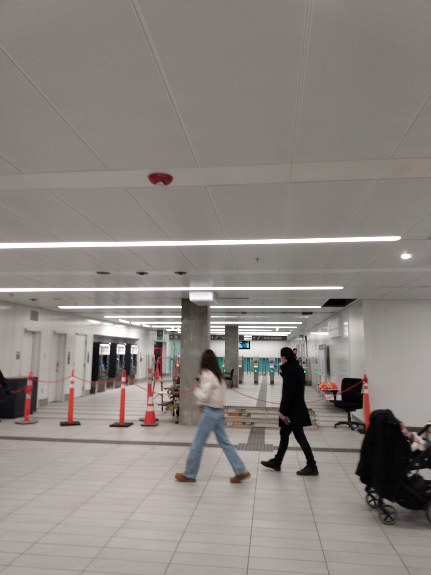 IMG_20251108_164411297