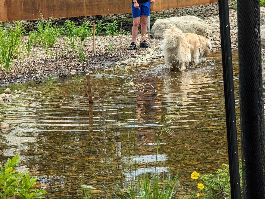 AGC_20250701_173119381