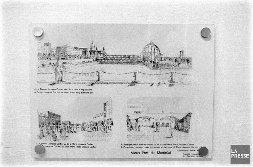 06M_P833S5D1985-0361_025