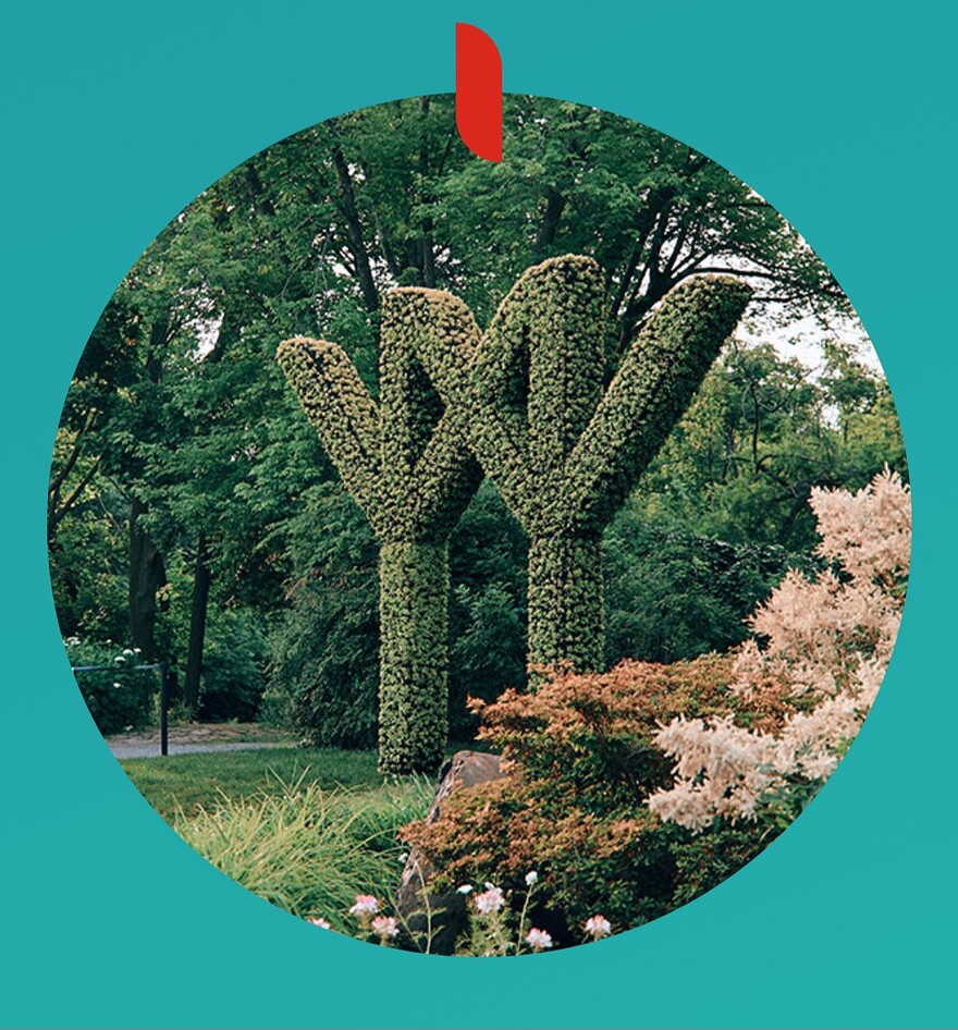 Screenshot_20250720_174036_Chrome