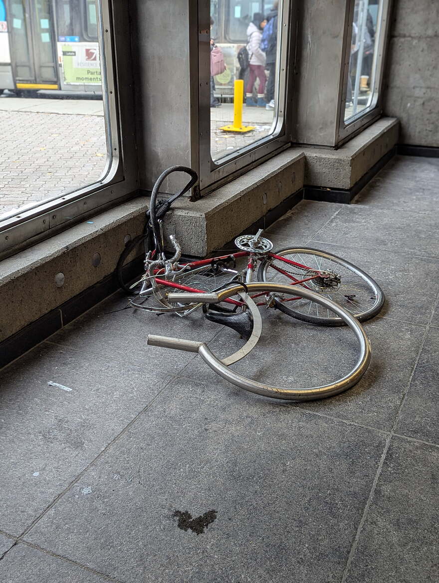 PXL_20251114_130557474.PORTRAIT