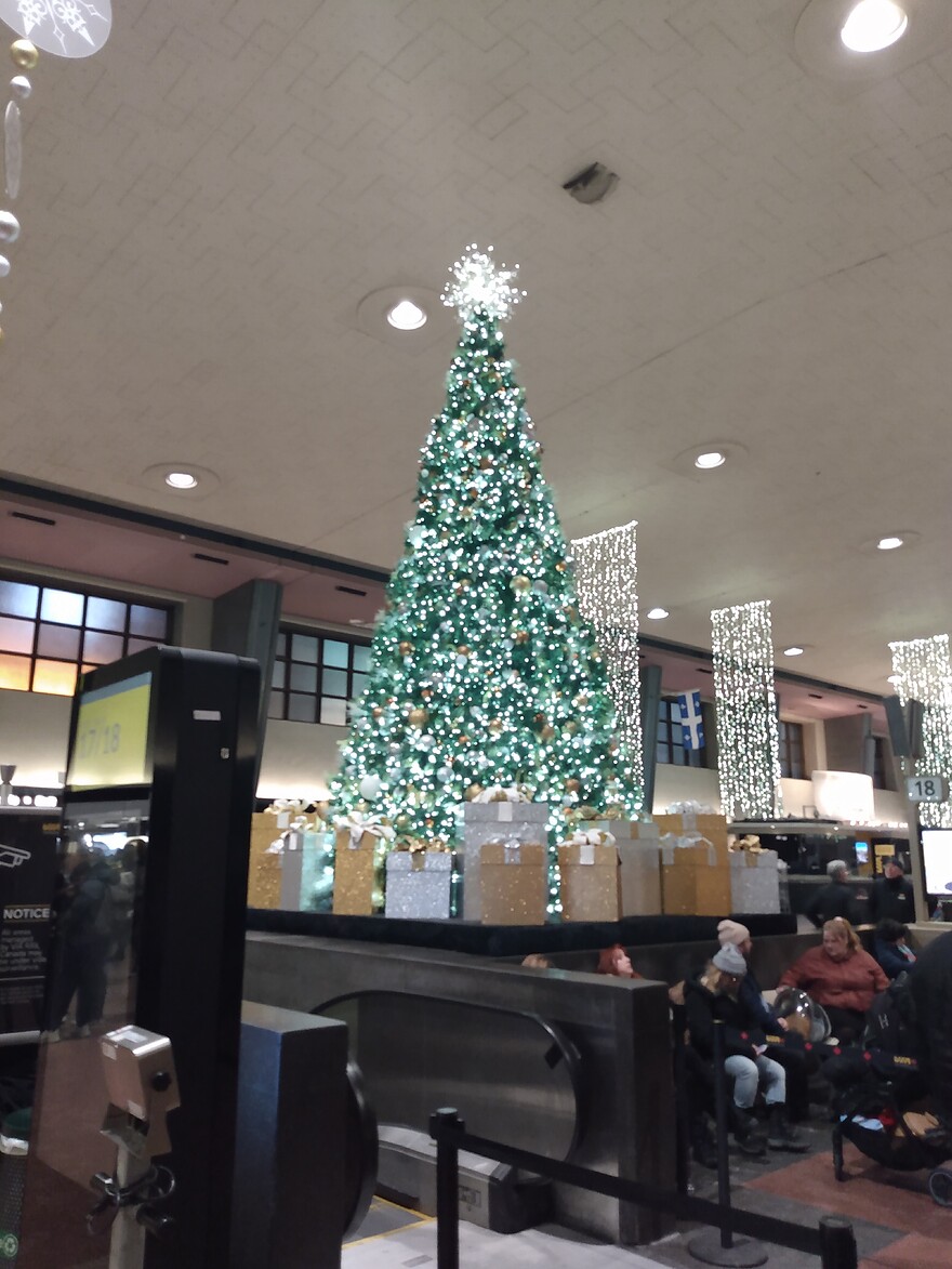 IMG_20241224_164548171
