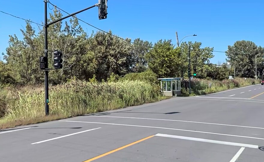 a crosswalk into tall grass