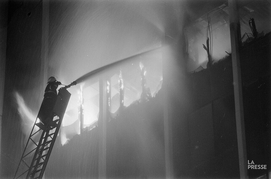 06M_P833S5D1986-0484_002