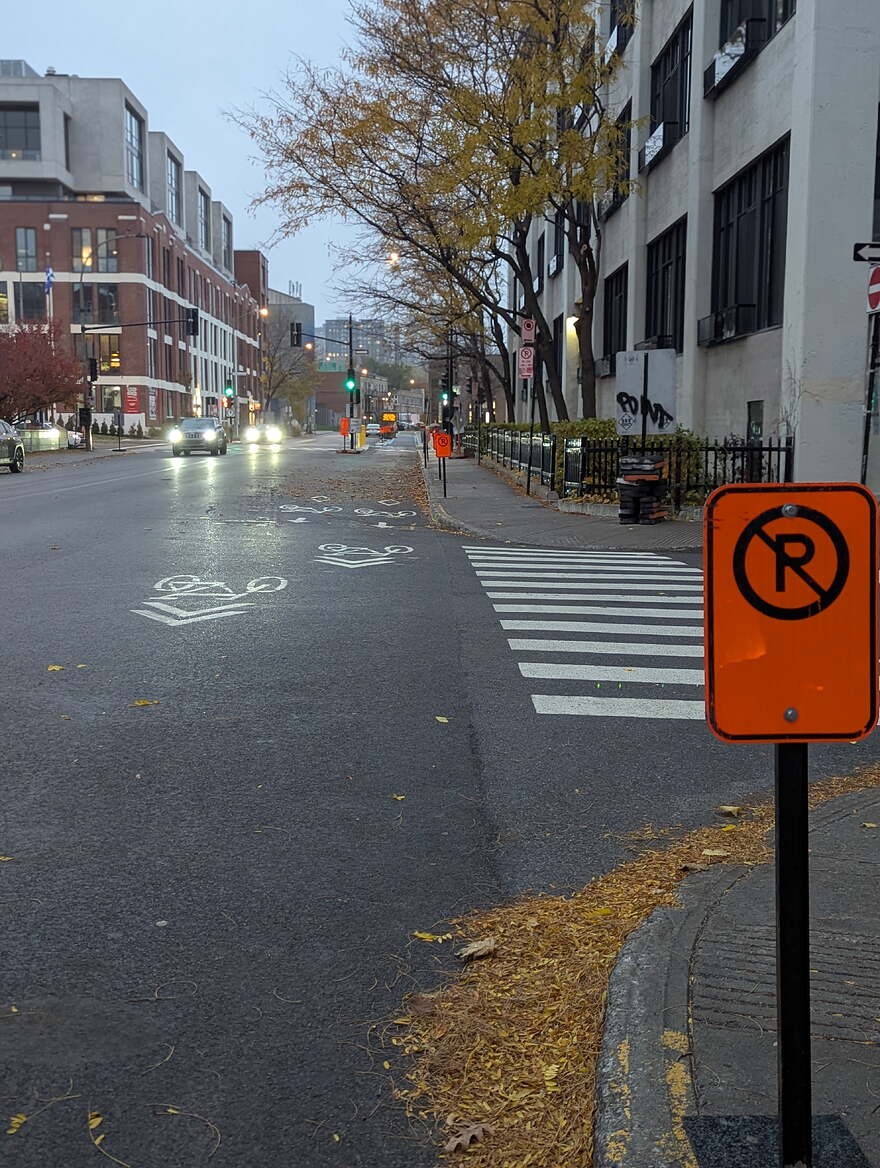 PXL_20251107_210448284.PORTRAIT