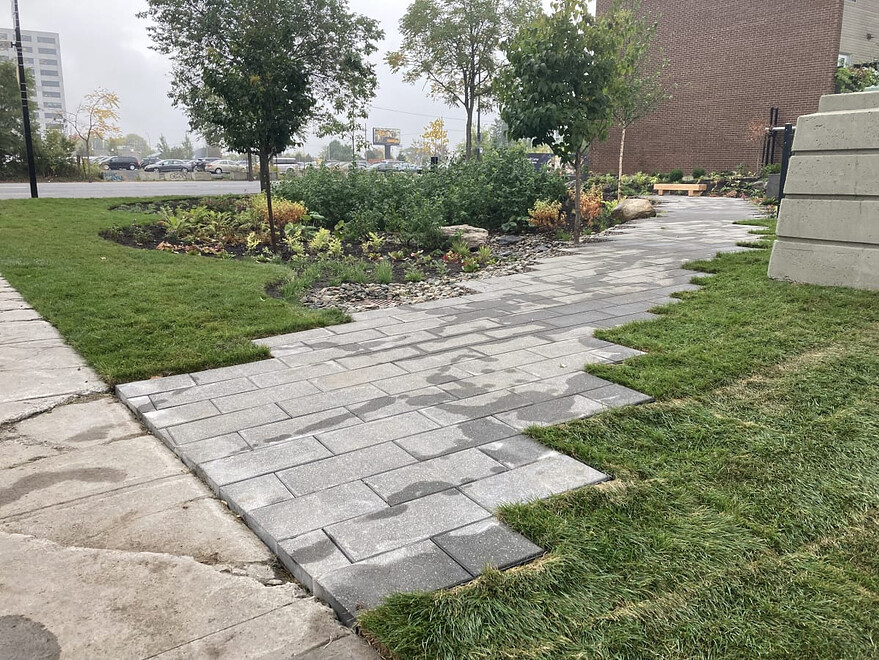 Terrain nouvellement aménagé