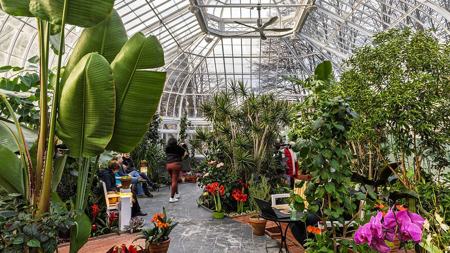 The Westmount Public Library is connected to a greenhouse that can be entered from inside the library as well as from its own front doors. ©Dave Sidaway Montreal Gazette