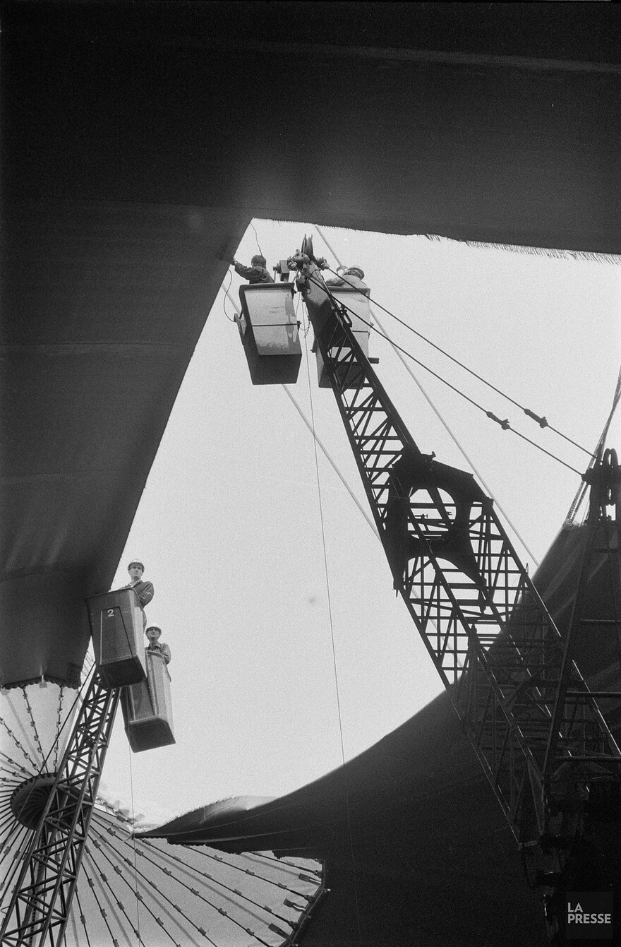 06M_P833S5D1988-0332_005