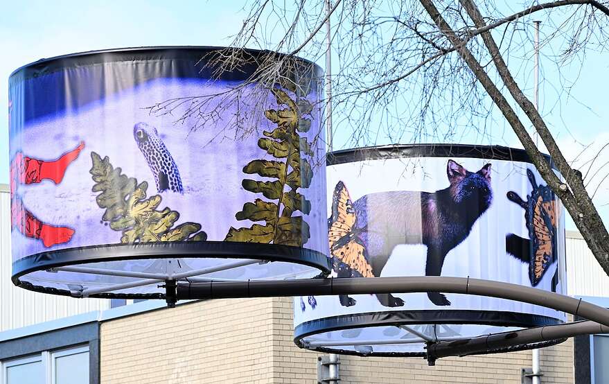 Depuis 2023, le parcours, <em>Les cueilleurs de lueurs</em>, de Fanny Mesnard et Isabelle Demers illumine l'avenue Cartier.