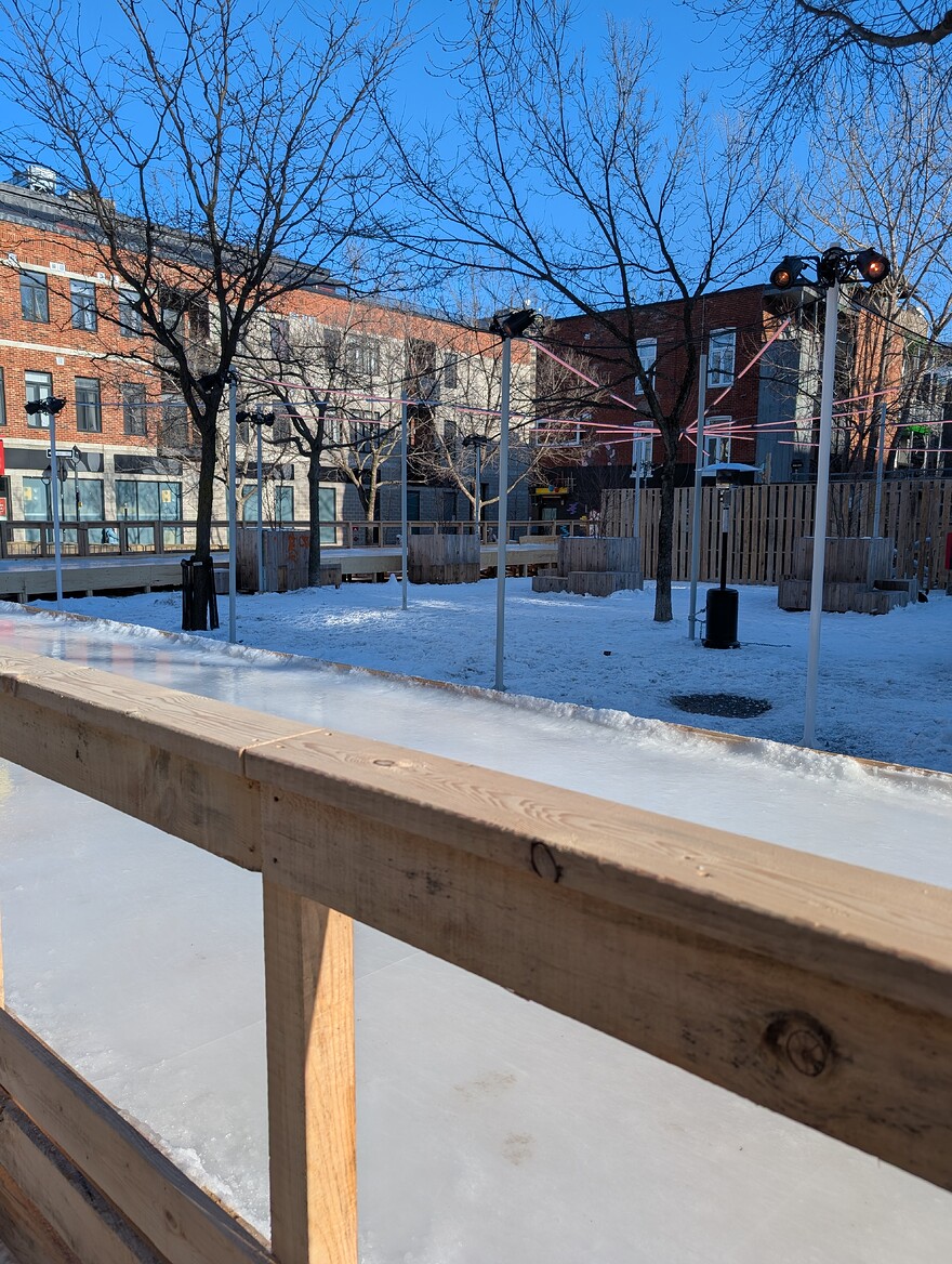 PXL_20250120_190025375