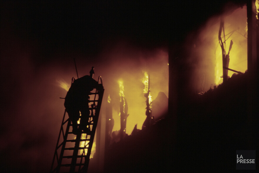 06M_P833S5D1986-0484_007