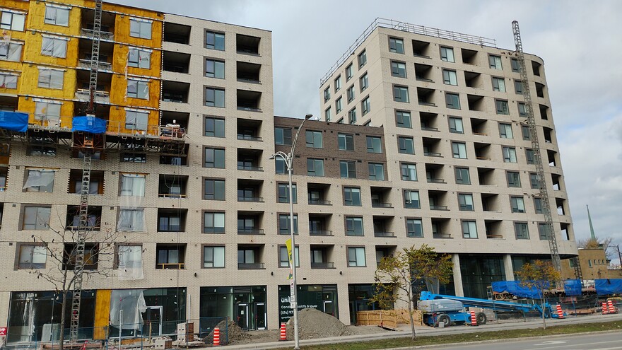 IMG_20251026_135335007_BURST000_COVER