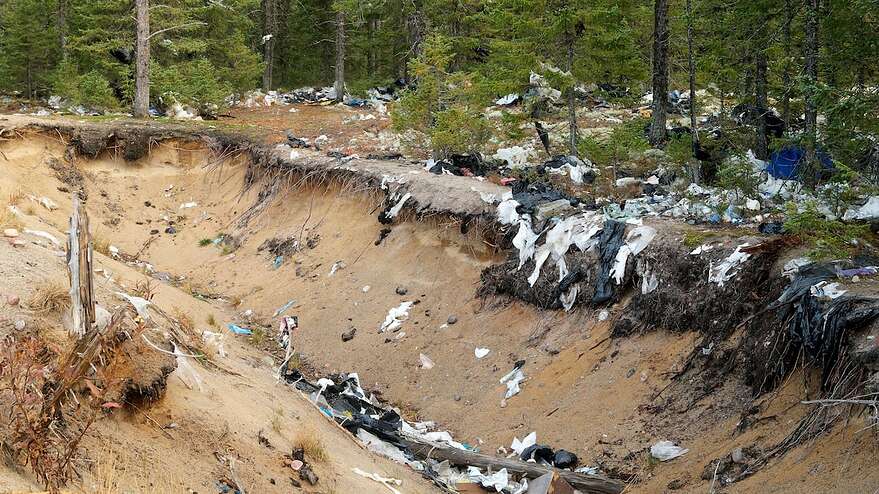 Les jours de grands vents, à la Baie-James, des déchets du dépotoir de Radisson sont dispersés dans la forêt environnante.