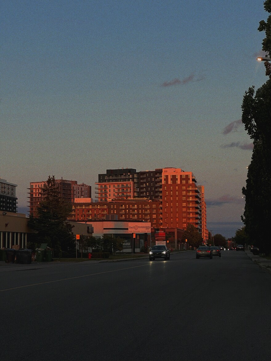 image_123650291 (1)