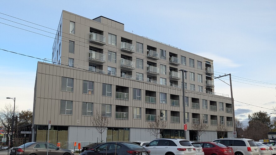 PXL_20251115_195003955