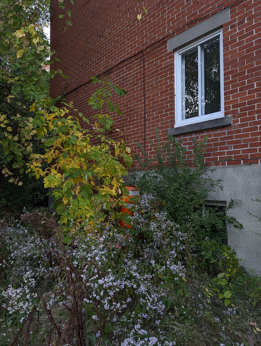 PXL_20250930_222327897.RAW-01.COVER