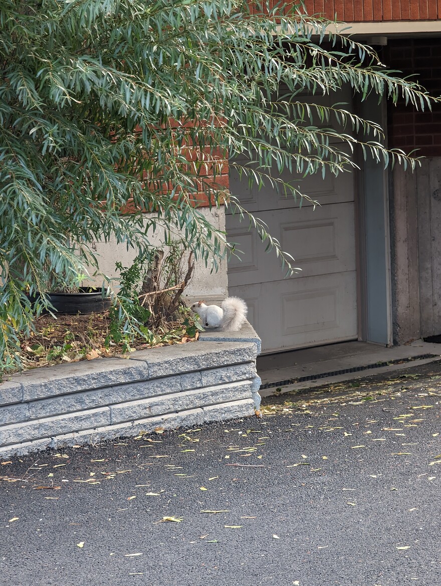 AGC_20251007_123051184