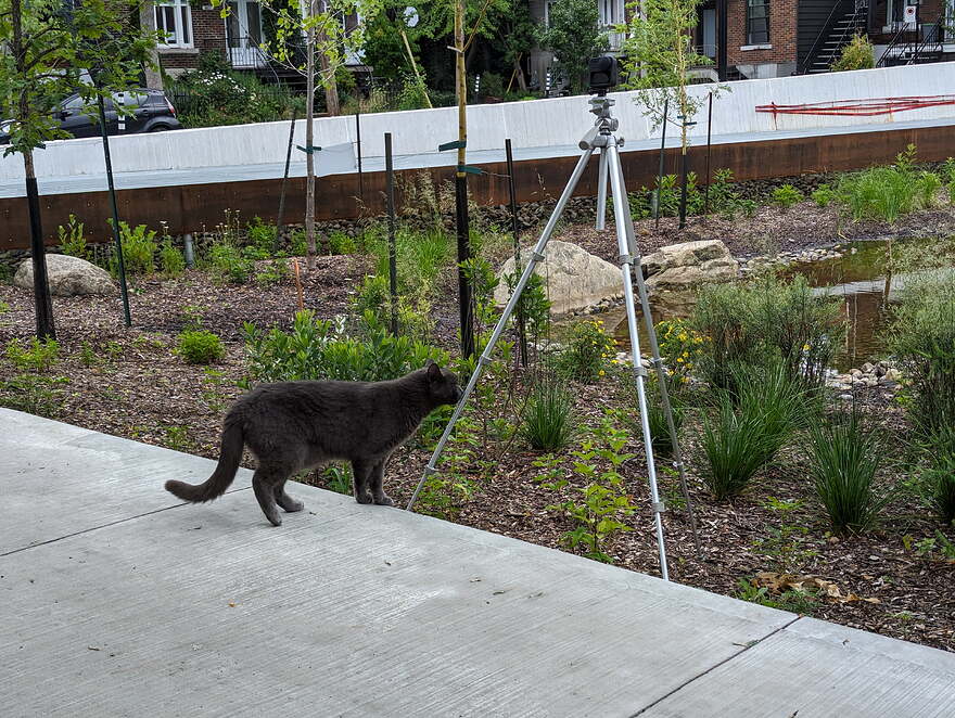 AGC_20250701_131950185